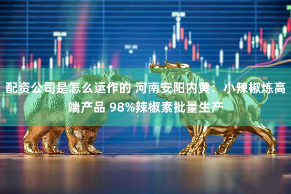 配资公司是怎么运作的 河南安阳内黄：小辣椒炼高端产品 98%辣椒素批量生产