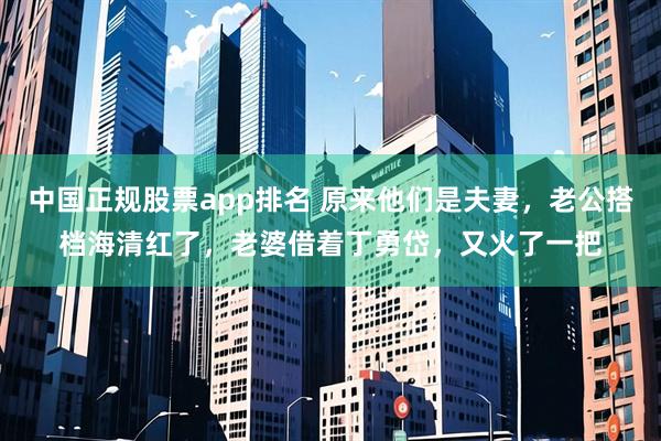 中国正规股票app排名 原来他们是夫妻，老公搭档海清红了，老婆借着丁勇岱，又火了一把